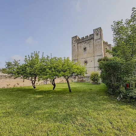Charmante Maison De Avec Vue Sur Le Donjon Avec Wifi Et Jardin *